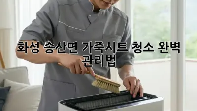 화성 송산면 가죽시트 청소, 완벽 관리법!