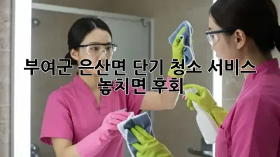 부여군 은산면 단기 청소 서비스 ✨ 놓치면 후회! 🏡💨